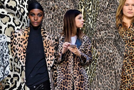 leopard print ph